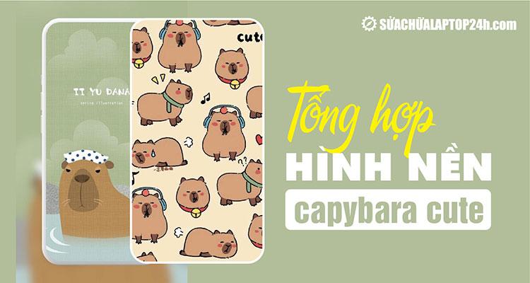 Tổng hợp 50+ hình nền capybara cute cho điện thoại, máy tính của bạn