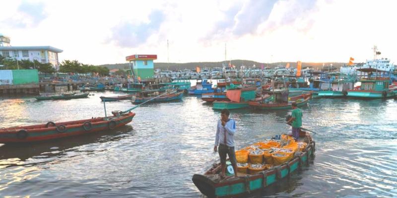 Top 12 món ngon Phú Quốc không thử sẽ “tiếc hùi hụi"