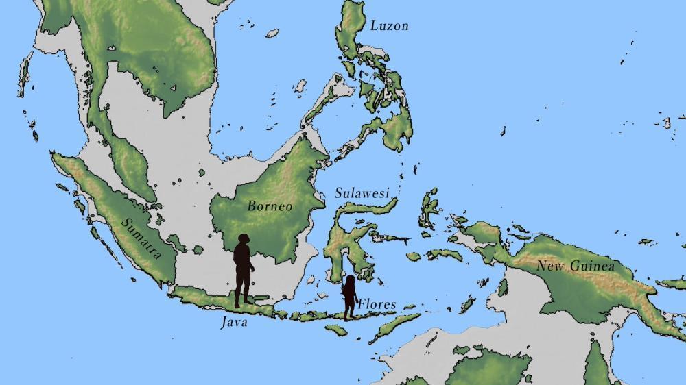 A map of the islands of Indonesia and the discovery of hominins in the area. Photo: supplied